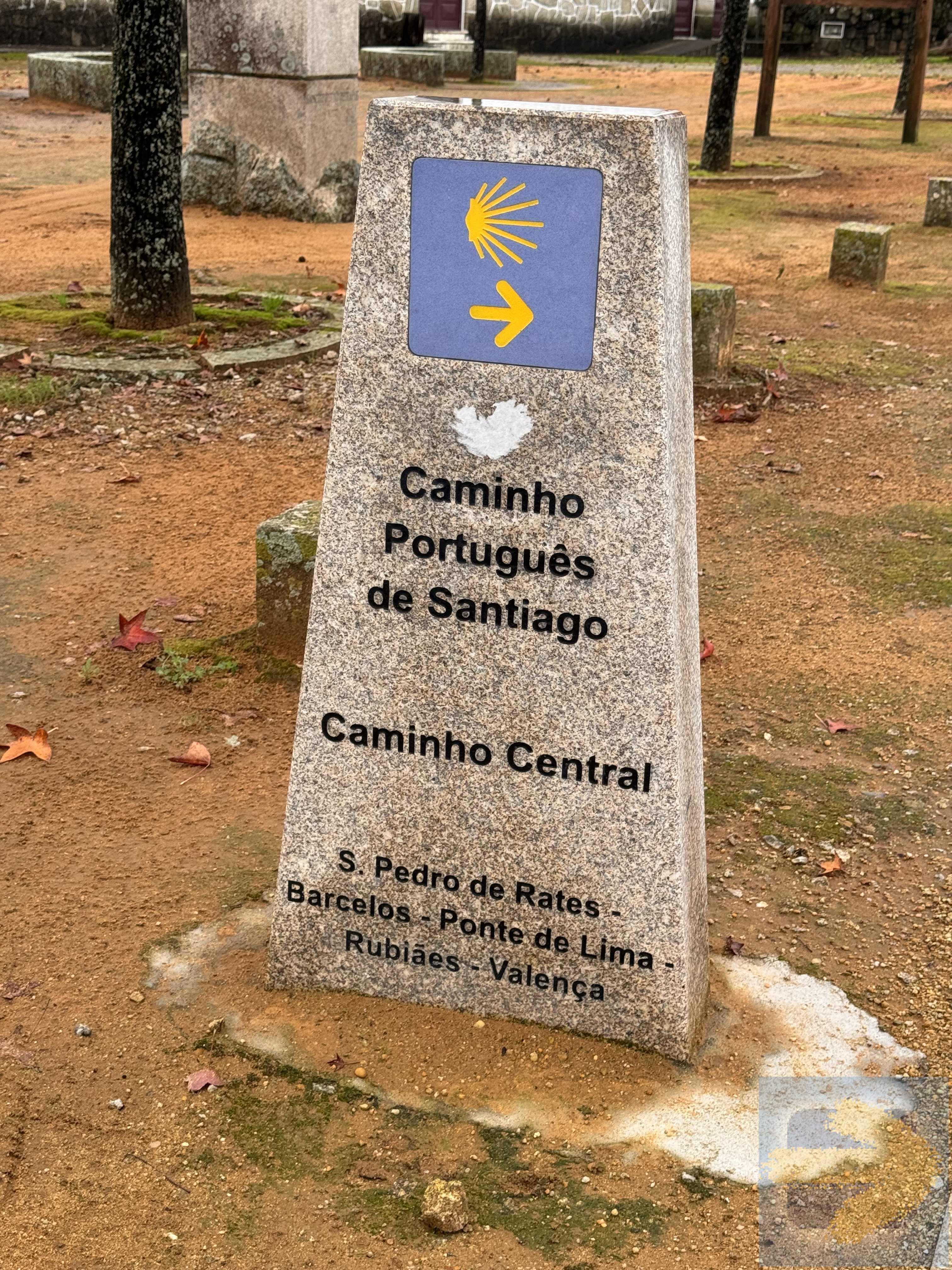 In Rates today  Camino de Santiago Forum